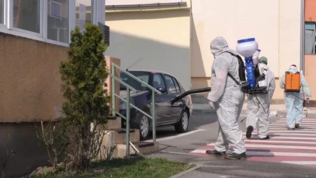 Servicii profesionale dezinfectie, dezinsectie, deratizare